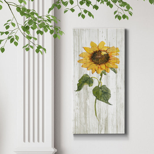 Sunflower in Autumn II - Canvas Art Print