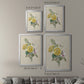 Antique Garden Bouquet II - Modern Framed Canvas Print