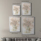 Delicate Arrangement II - Modern Framed Canvas Print