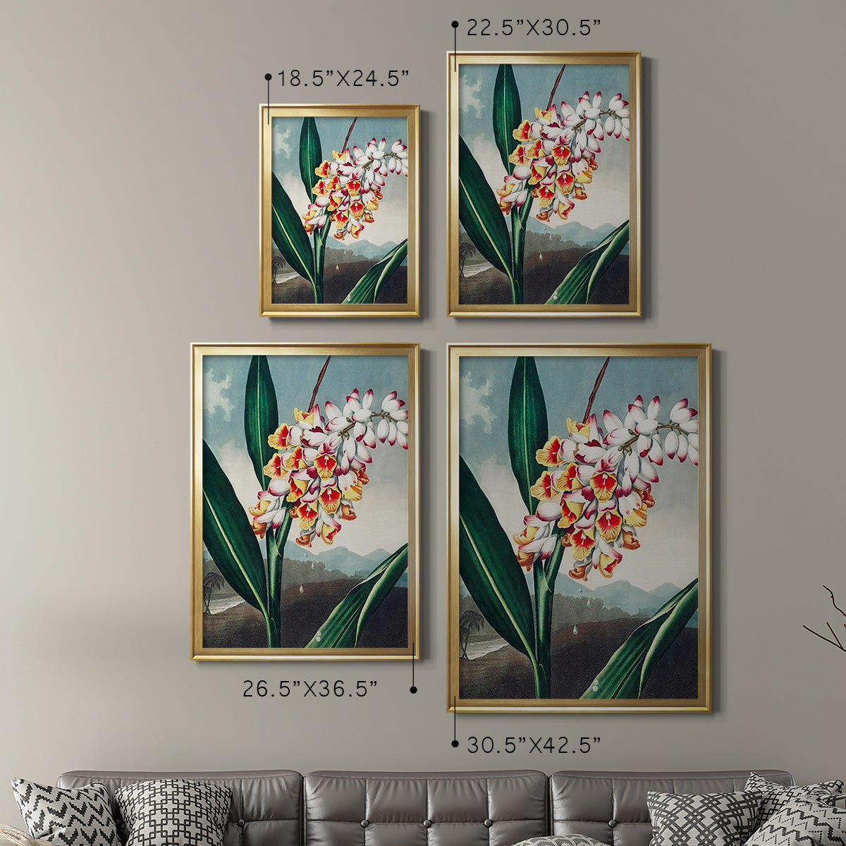 Temple of Flora VII - Modern Framed Canvas Print