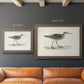 Morris Sandpipers V Premium Framed Canvas- Ready to Hang