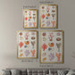 Coral & Shell Collage I -  Framed Canvas Print