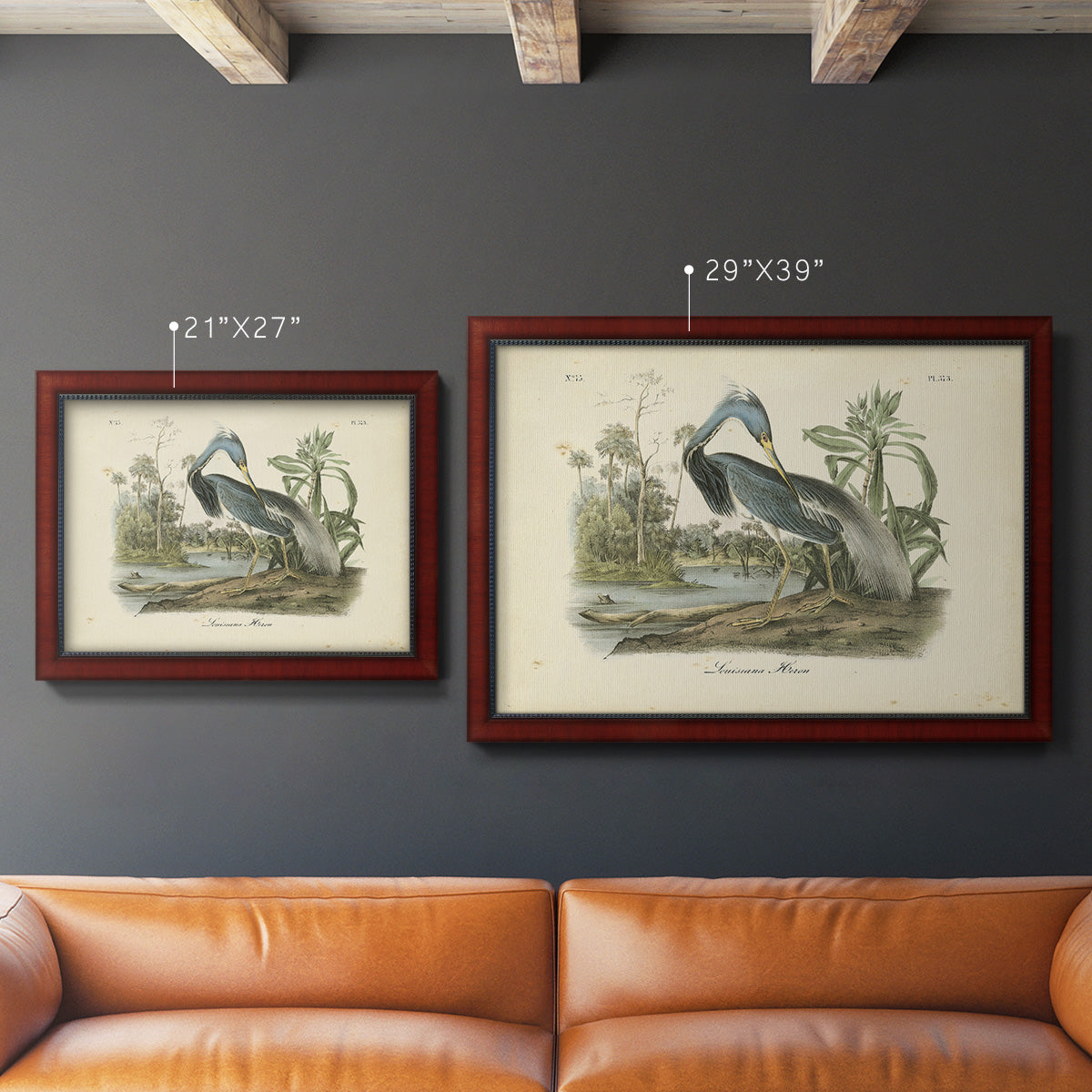 Audubons Louisiana Heron Premium Framed Canvas- Ready to Hang