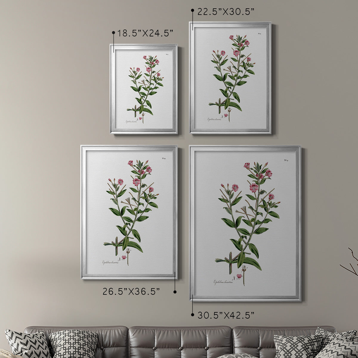 Rose Botanical III - Modern Framed Canvas Print