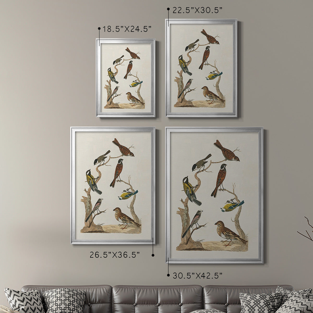 Antique Birds in Nature II - Modern Framed Canvas Print