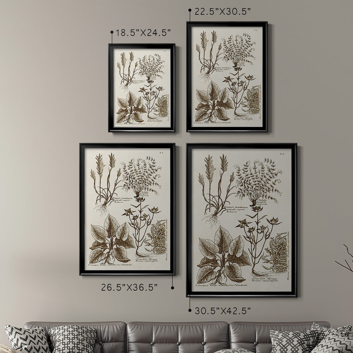 Sepia Botanical Journal VII - Modern Framed Canvas Print