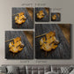 Snail's Pace - Canvas Art Print