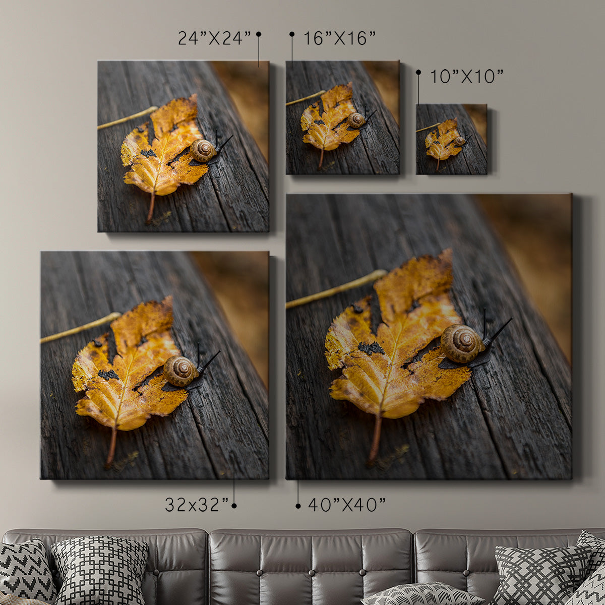 Snail's Pace - Canvas Art Print