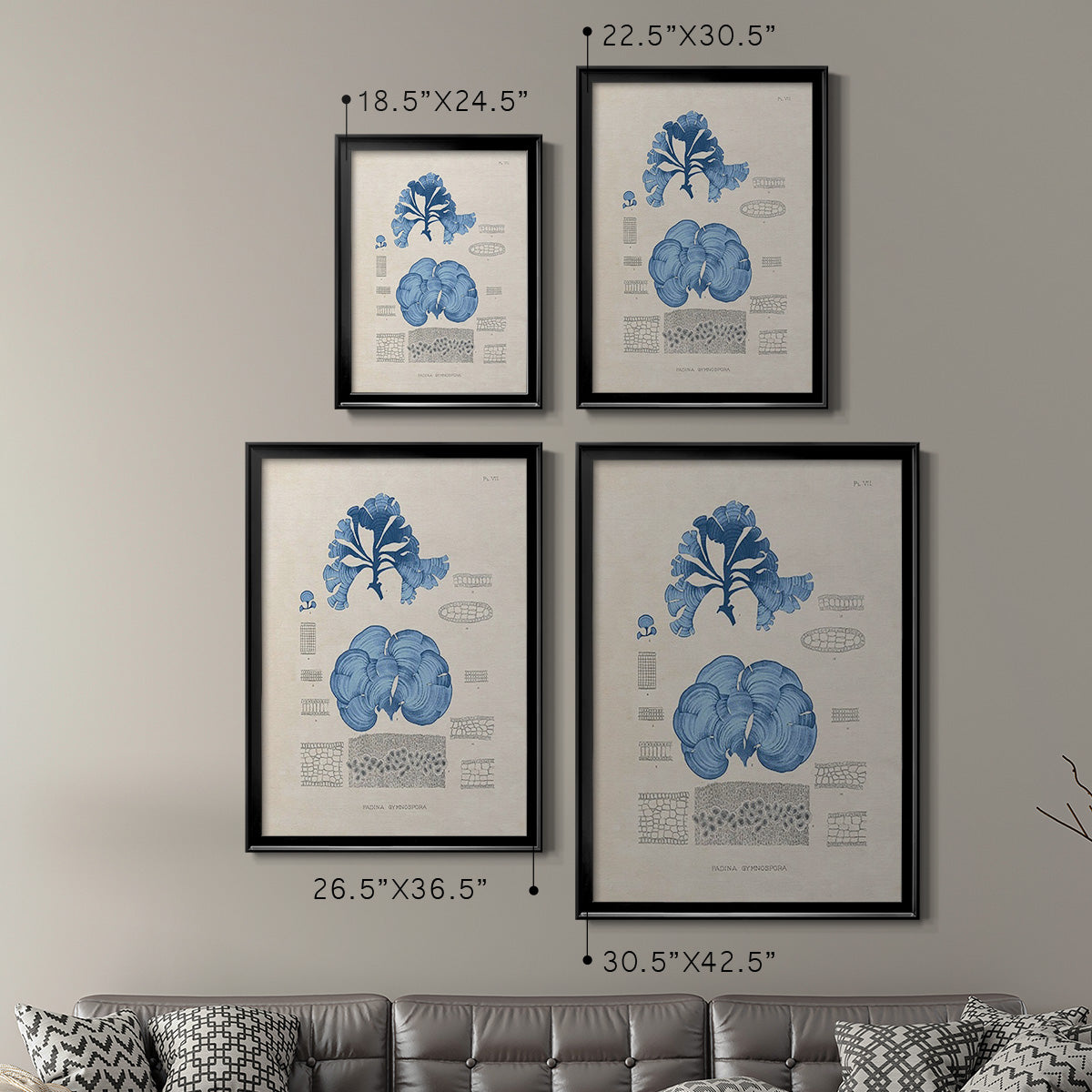 Blue Marine Algae IV -  Framed Canvas Print