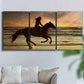 Three-panel canvas wall art featuring running horse along beach photograph, displayed in a living room above a sofa.