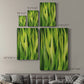 Blades of Grass I Premium Gallery Wrapped Canvas - Ready to Hang