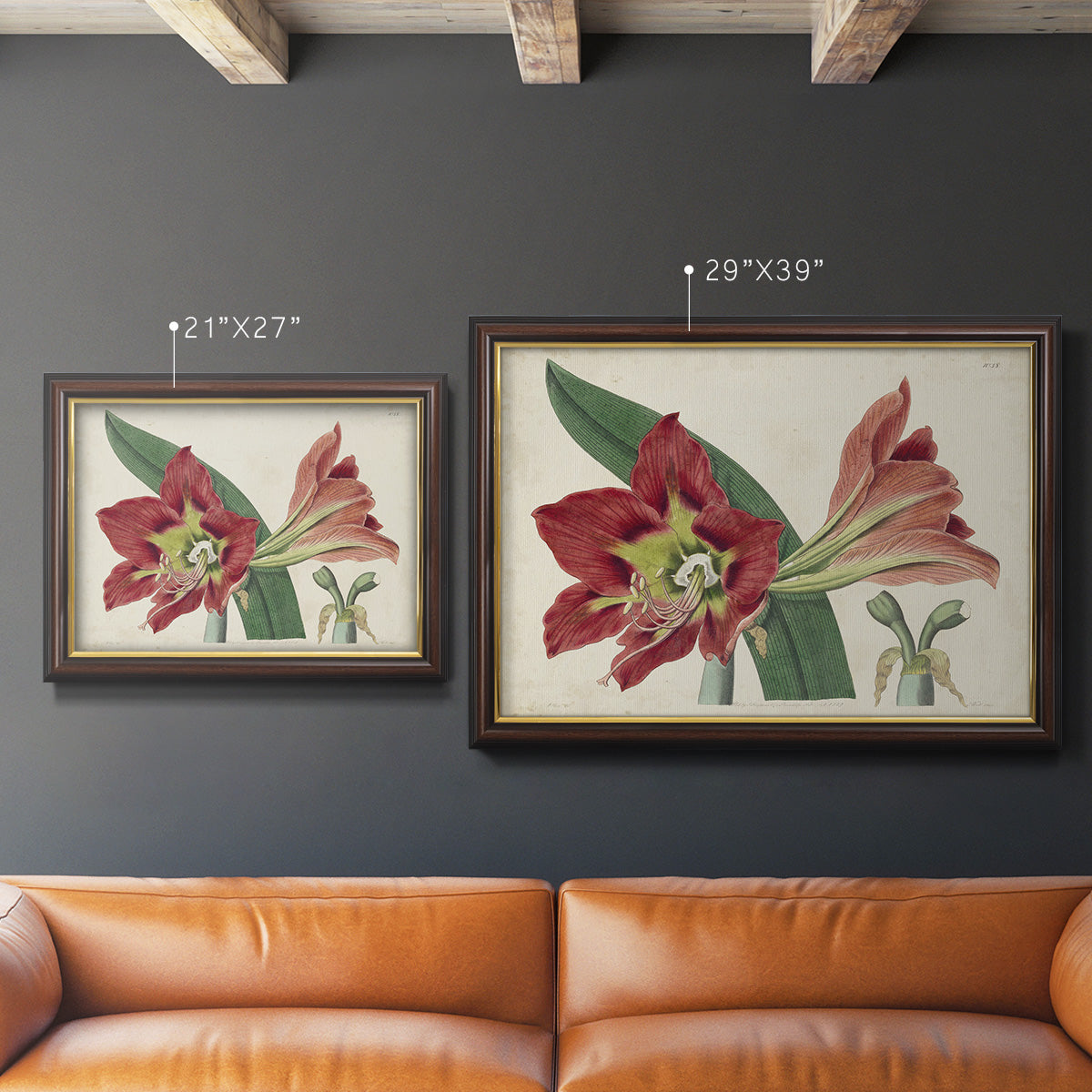 Amaryllis Splendor I Premium Framed Canvas- Ready to Hang