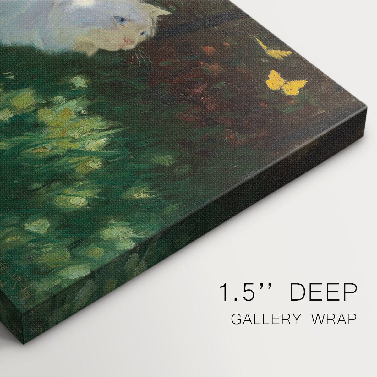 cat,white cat,garden,butterflies,relaxation,sunlight,greenery,flowers,afternoon,outdoor,nature,animal,pet,fluffy,peaceful,yellow,basking,soft,serene,playful,vibrant,sitting,observing,wildlife,tranquility,soft fur,leisure,day,insect,blooming,domestic,scene,colorful,habitat,warm weather,feline,natural light,cute,playful creatures,paws,beauty,grass