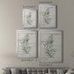 Tropic Frond I - Modern Framed Canvas Print