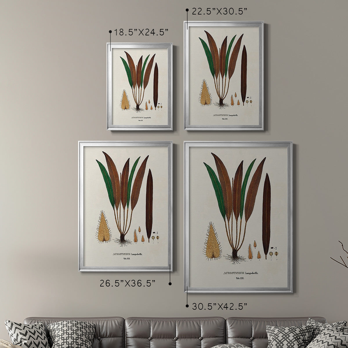Botanical Society Ferns I - Modern Framed Canvas Print