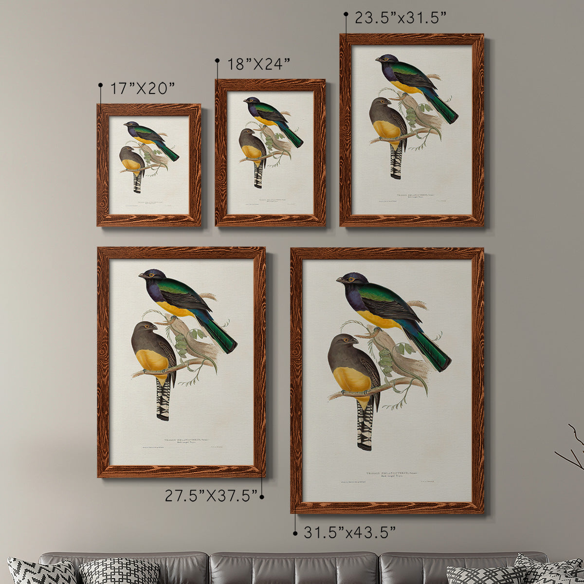 Elegant Trogons III - Premium Framed Canvas 2 Piece Set - Ready to Hang