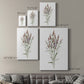 Dainty Botanical III - Canvas Art Print