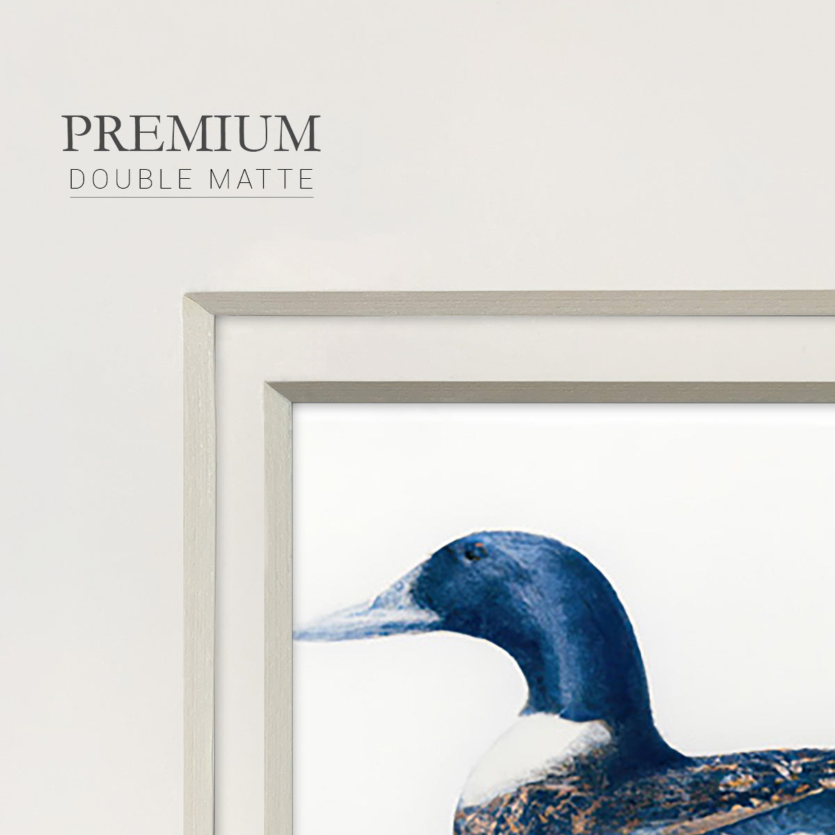 Mallard Blue II - Double Matboard Framed Print