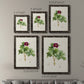 Size comparison chart for a set of two black barnwood framed canvas prints.