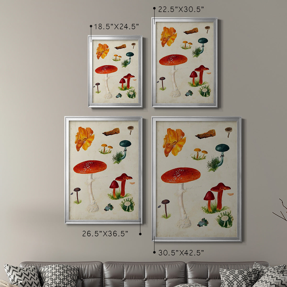 Mushroom Species VIII - Modern Framed Canvas Print