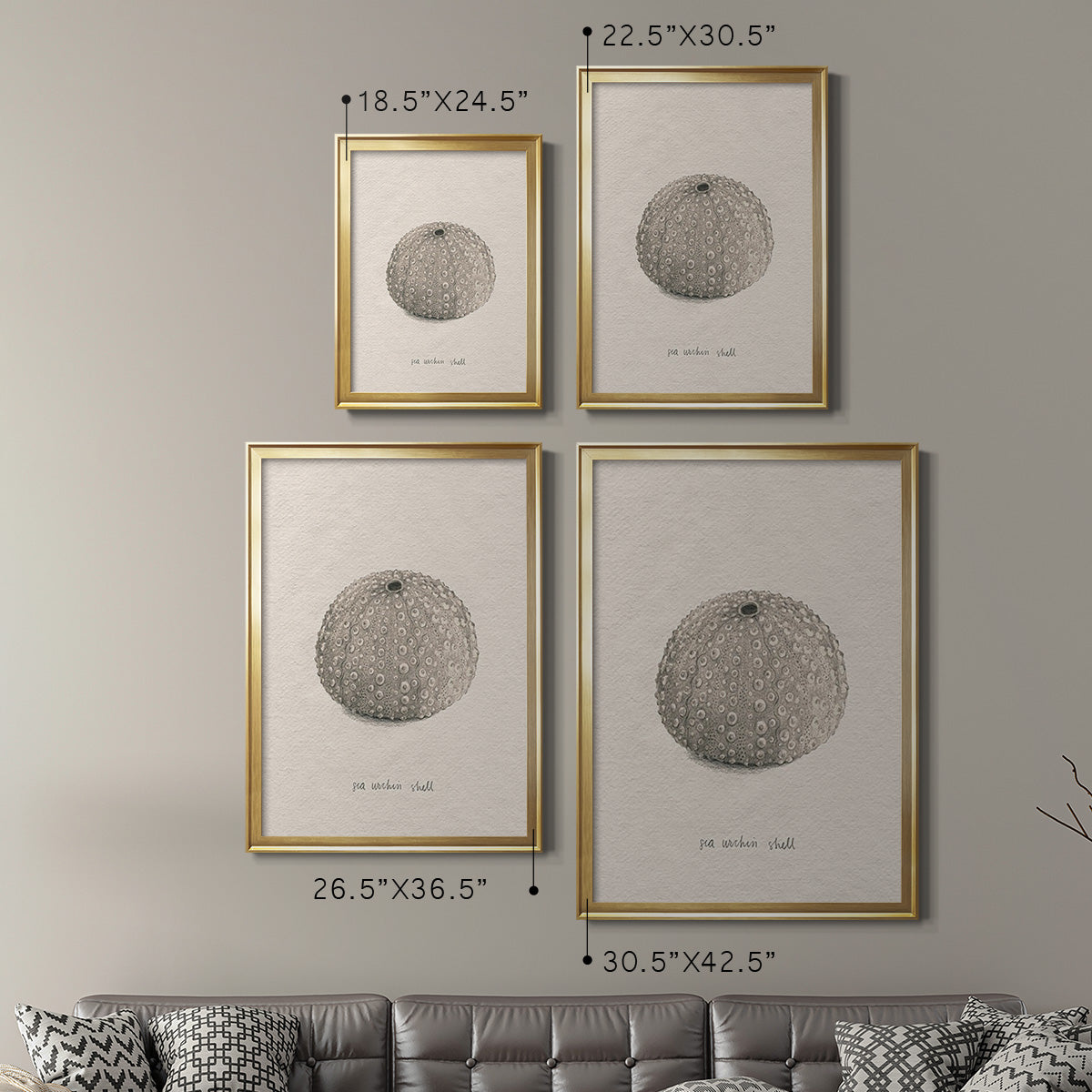 Shore Treasure Study I - Modern Framed Canvas Print