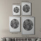 Graphite Moon II - Modern Framed Canvas Print