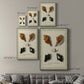 Bookplate Shells I Premium Gallery Wrapped Canvas - Ready to Hang