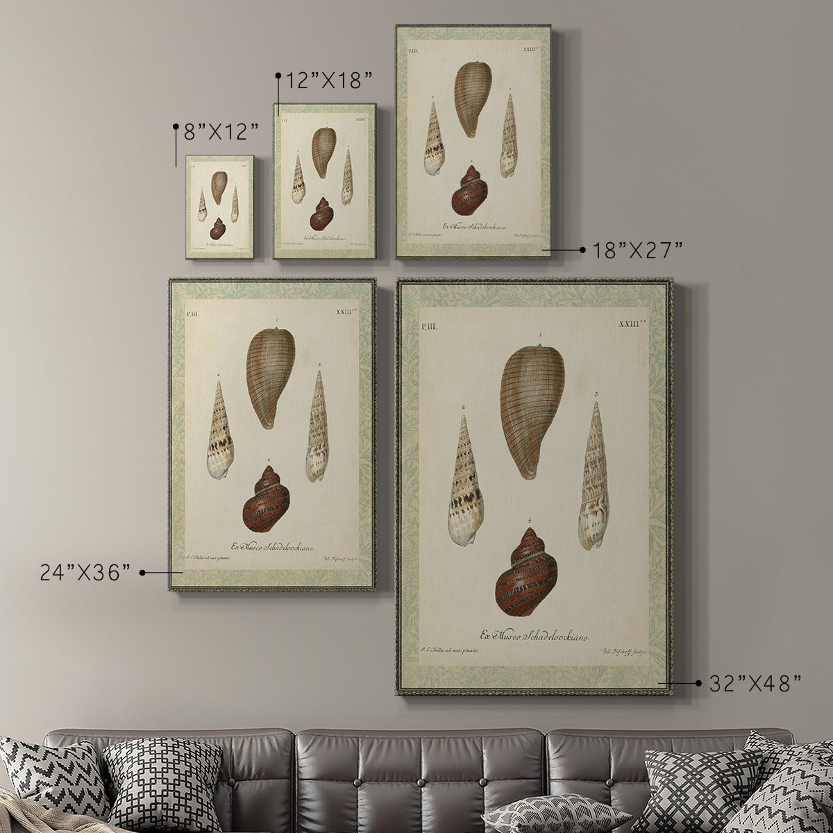 Bookplate Shells V Premium Gallery Wrapped Canvas - Ready to Hang