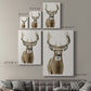 Handsome Whitetail II - Canvas Art Print
