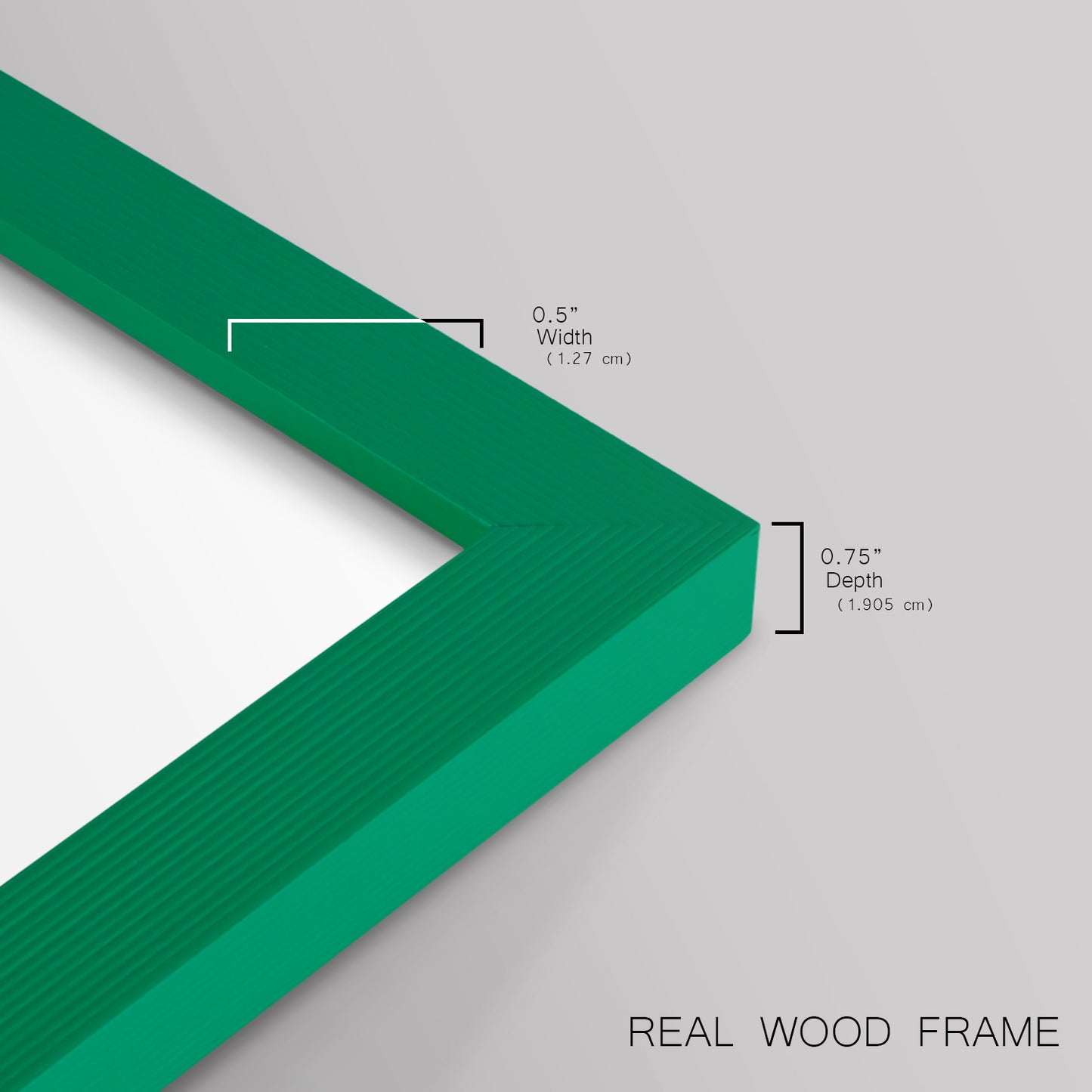 Buchoz Tropicals VIII - Restickable Framed Art Print