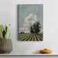 Copse of Trees Premium Gallery Wrapped Canvas - Ready to Hang