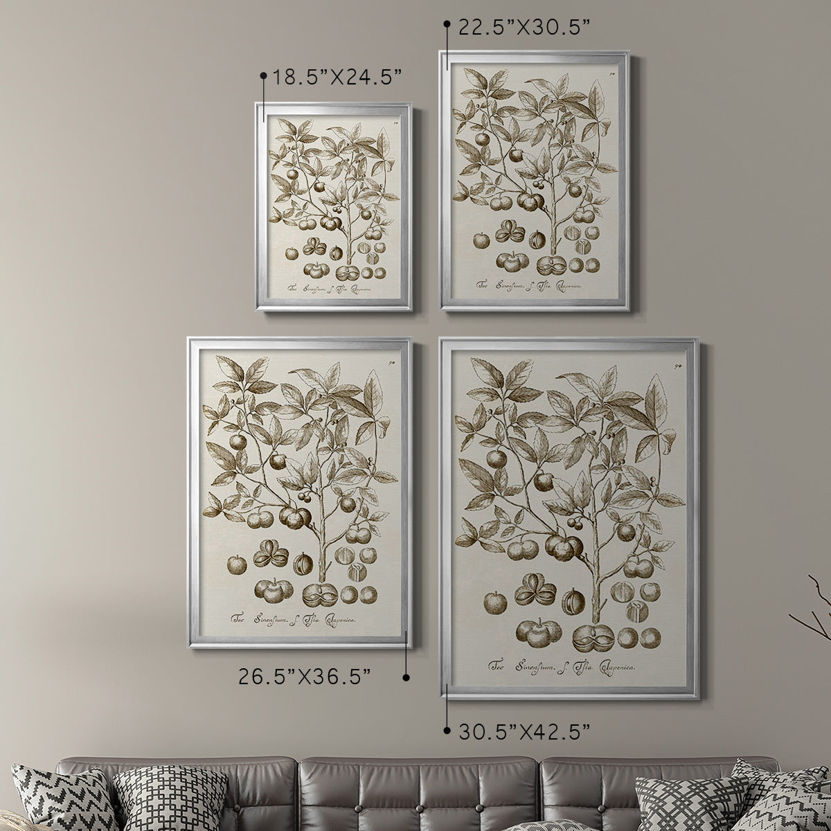 Sepia Botanical Journal II - Modern Framed Canvas Print