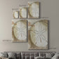 Dry Sand Dollar II Premium Gallery Wrapped Canvas - Ready to Hang