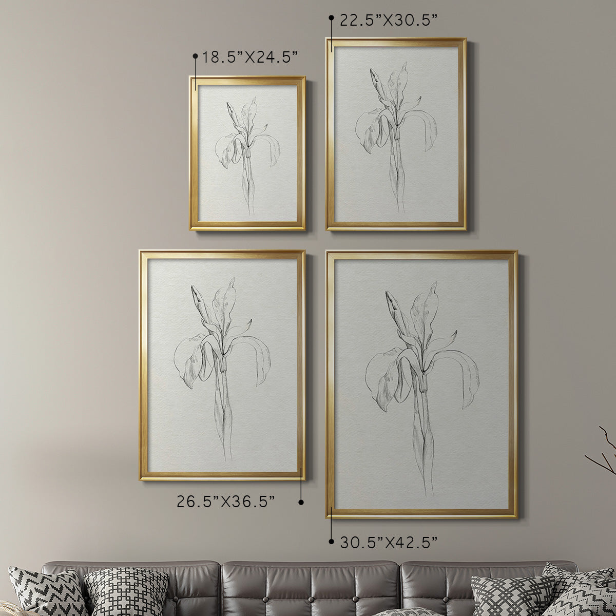 Neutral Iris Sketch II - Modern Framed Canvas Print