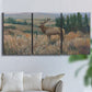 Three-panel canvas wall art featuring western wildlife standing in grassland, displayed in a living room above a sofa.