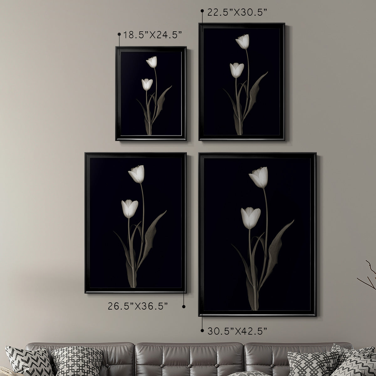 Tulip Pose II - Modern Framed Canvas Print