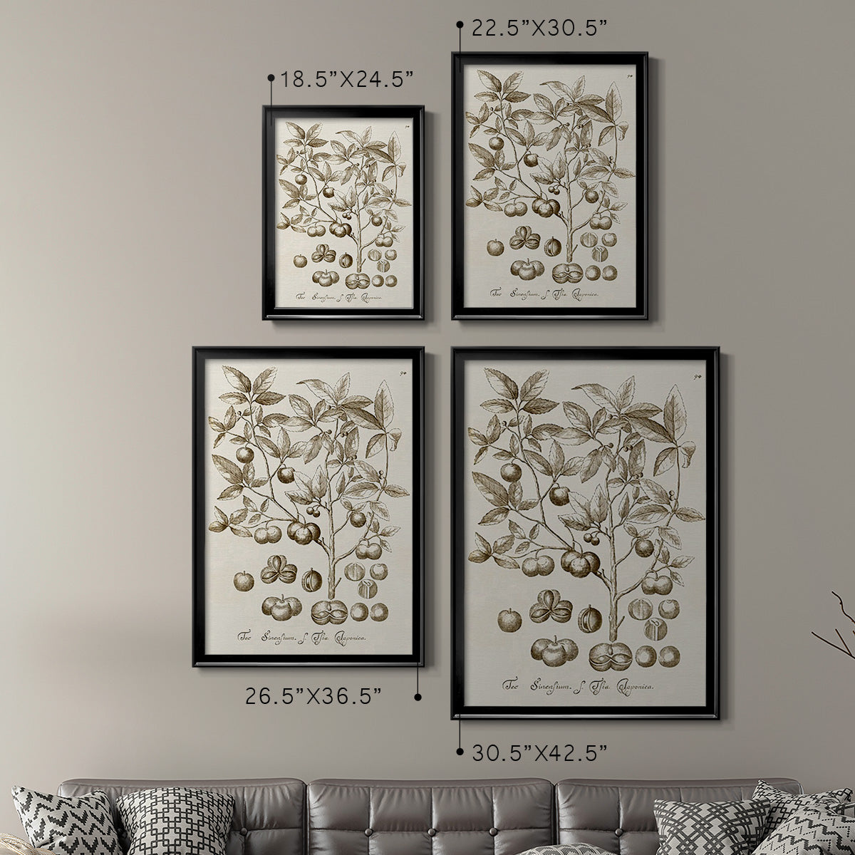 Sepia Botanical Journal II - Modern Framed Canvas Print