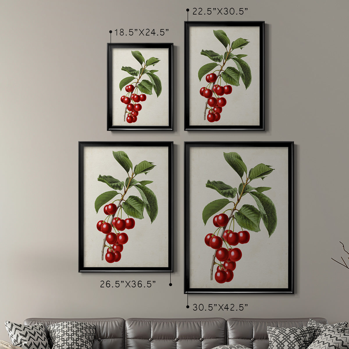 Antique Fruit II - Modern Framed Canvas Print