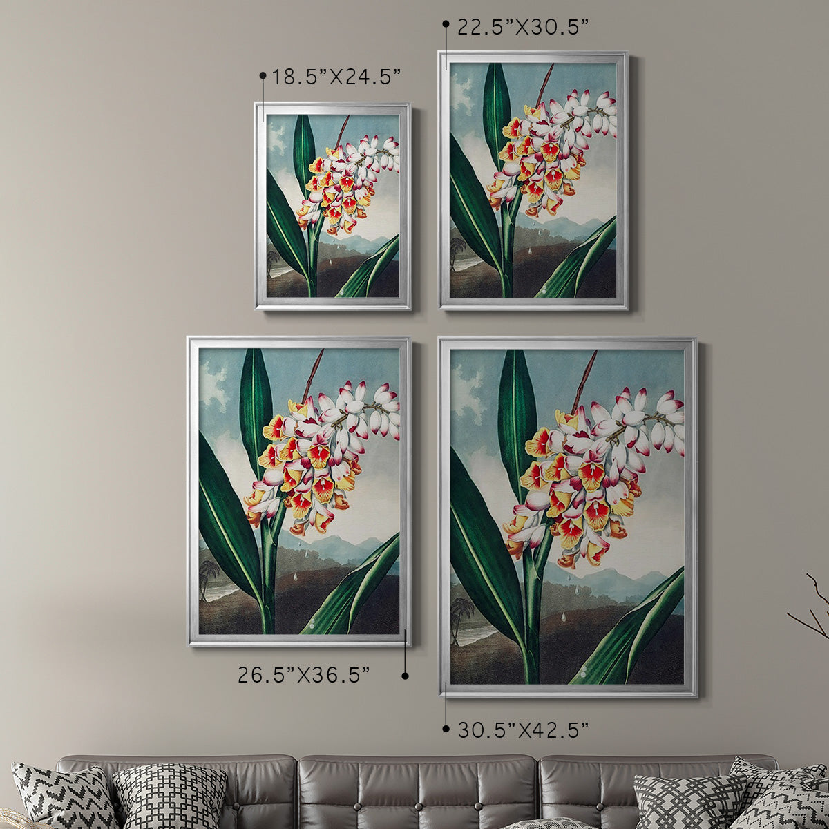 Temple of Flora VII - Modern Framed Canvas Print