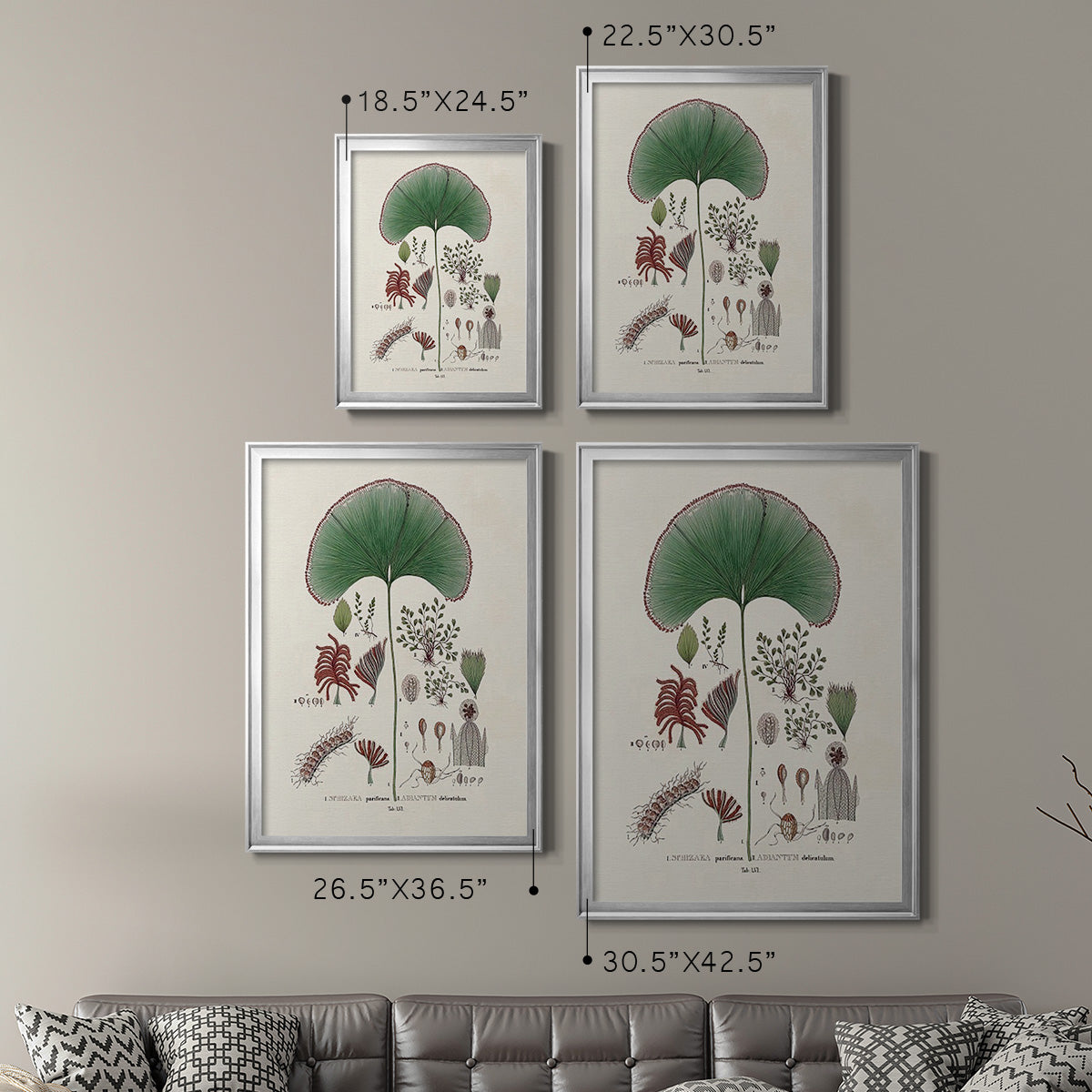 Botanical Society Ferns III - Modern Framed Canvas Print