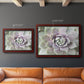 Succulent Glow II - Ornate Framed Canvas Print