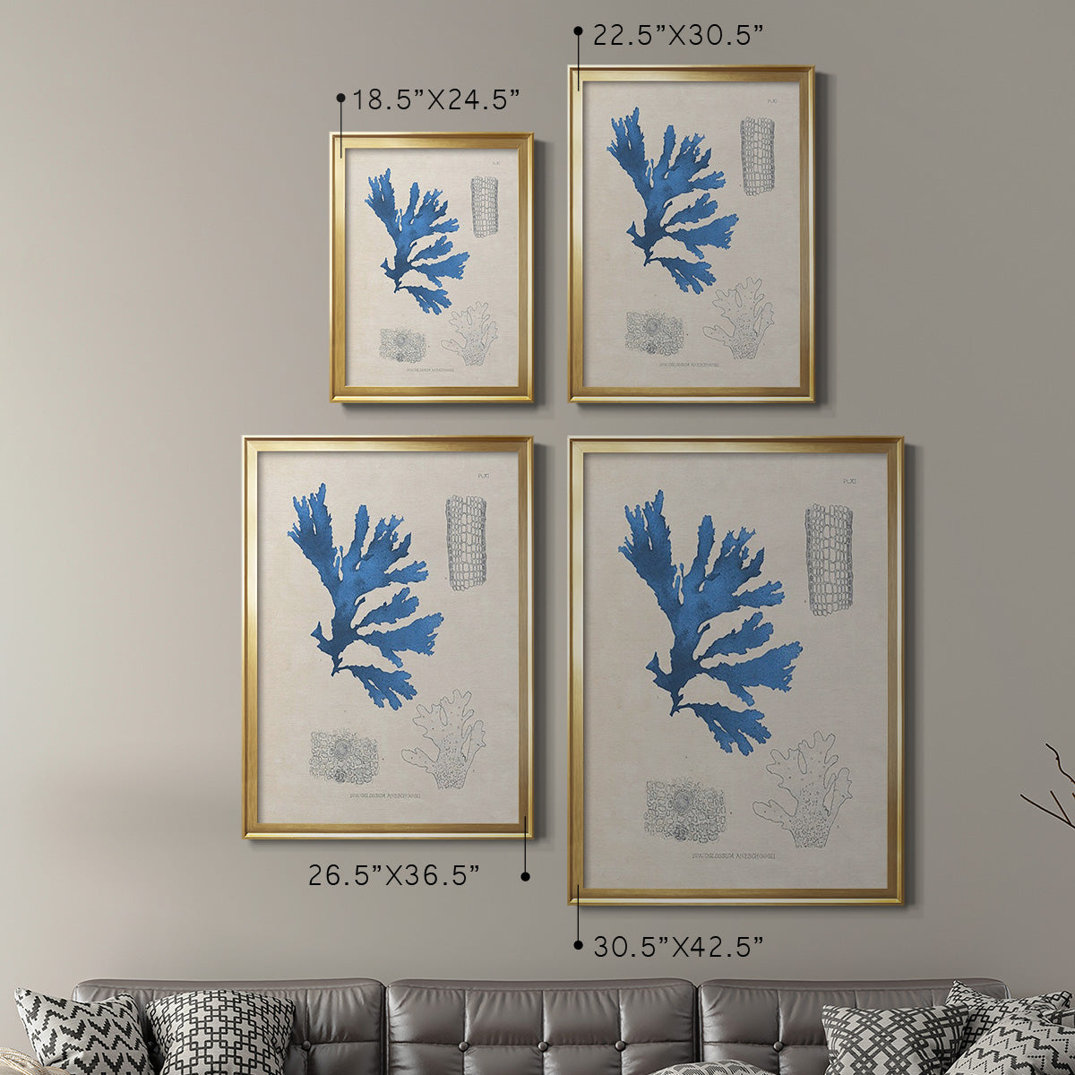 Blue Marine Algae VIII - Modern Framed Canvas Print