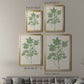 Vintage Garden I - Modern Framed Canvas Print