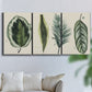 Three-panel canvas wall art featuring botanical palm leaf illustration, displayed in a living room above a sofa.