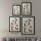 Antique Birds in Nature II - Modern Framed Canvas Print