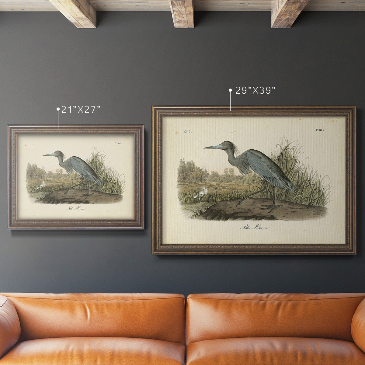 Audubons Blue Heron Premium Framed Canvas- Ready to Hang