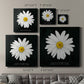 Delicate Daisy I - Canvas Art Print