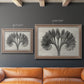 Vintage botanical plant study photograph by Karl Blossfeldt in an ornate traditional silver frame shown in multiple size options.