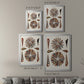 Spiral Shell Formation III - Modern Framed Canvas Print