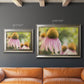 Echinacea Study II Premium Framed Canvas- Ready to Hang